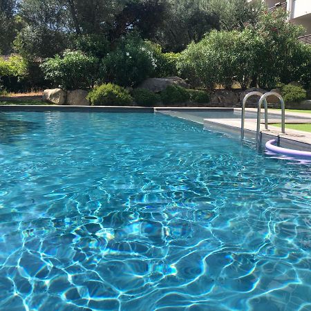 Superbe Appartement Sur Le Port, Jacuzzi, Piscine Порто-Векио Екстериор снимка
